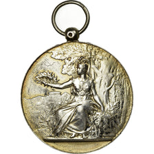 France, Medal, Pôle Nord, Paris, EF(40-45), Silver
