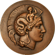 France, Medal, Mutualité Combattante, 1925, Alphée Dubois, MS(60-62), Bronze