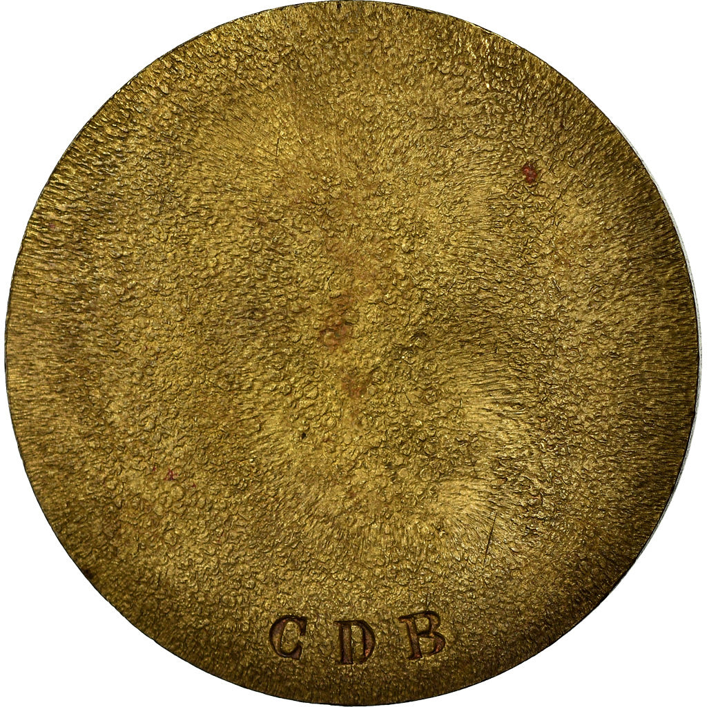 France, Medal, Victor Hugo, AU(50-53), Bronze