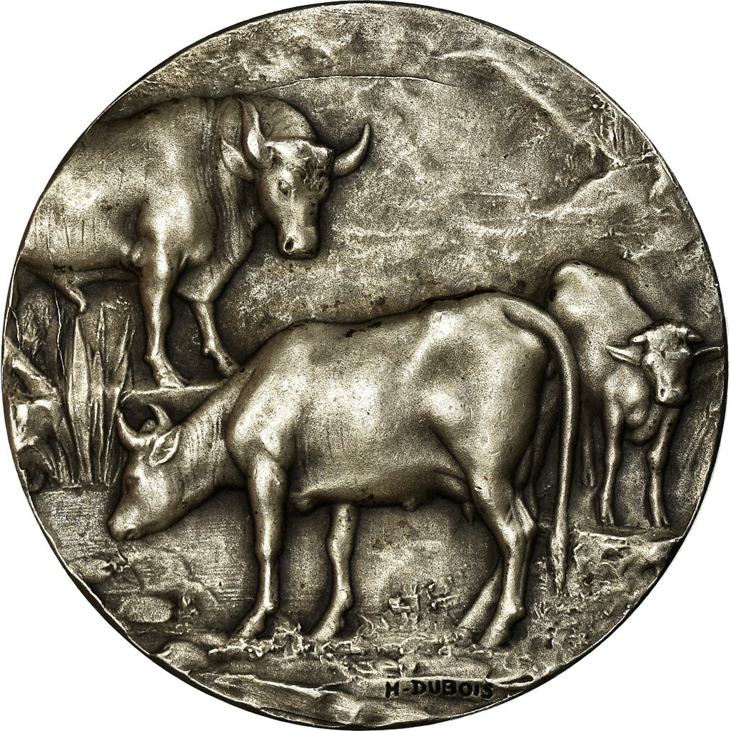 Francia, medaglia, Comice Agricole d'Avallon, Bourgogne, 1909, Dubois.H, SPL-