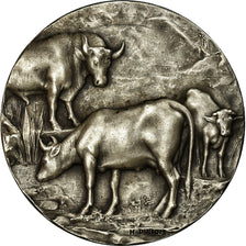 Francia, medaglia, Comice Agricole d'Avallon, Bourgogne, 1909, Dubois.H, SPL-