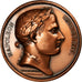 France, Medal, Napoléon Ier, Descente en Angeterre, History, 1968, Restrike