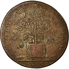 France, Token, Maires de Dijon, Philibert Jannon, History, 1693, VF(20-25)