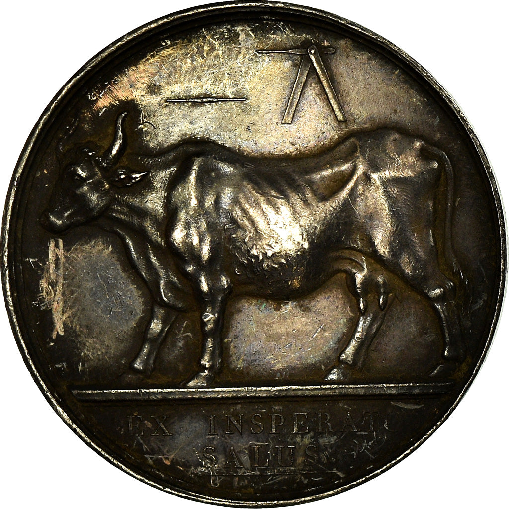 France, Token, Médecine, Vaccinations Municipales de Paris, 1814, Depaulis