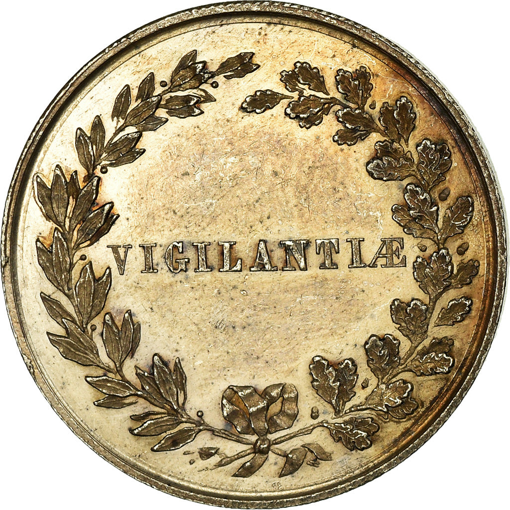 Belgium, Token, Le Sénat de Tournai, AU(55-58), Silver