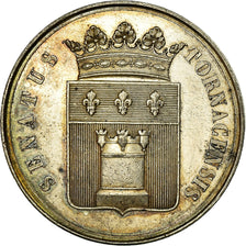 Belgium, Token, Le Sénat de Tournai, AU(55-58), Silver