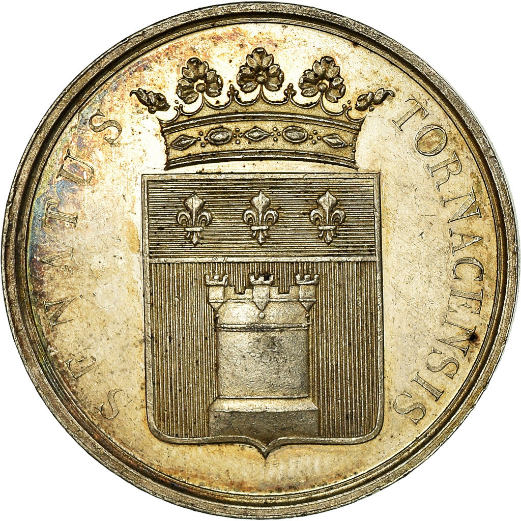 Belgium, Token, Le Sénat de Tournai, AU(55-58), Silver