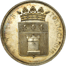 Belgium, Token, Le Sénat de Tournai, AU(55-58), Silver