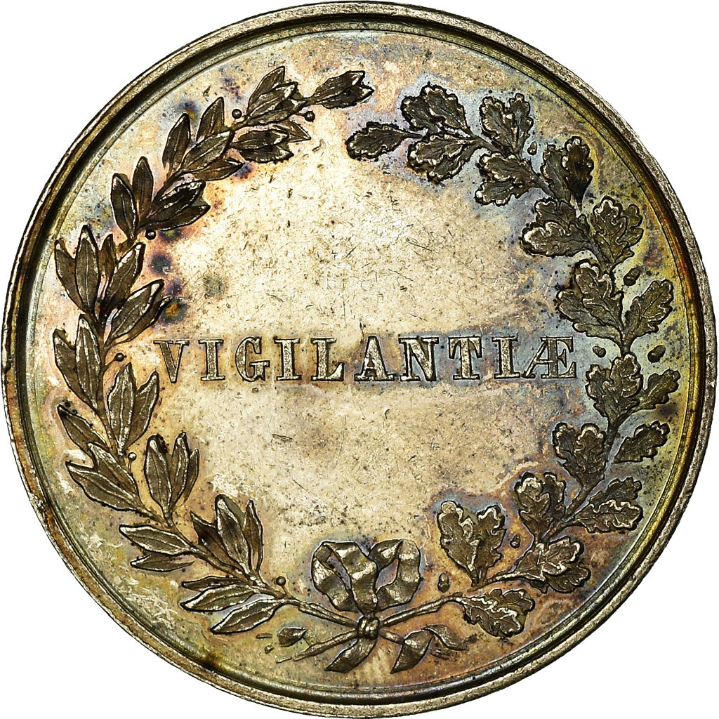 Belgium, Token, Le Sénat de Tournai, AU(55-58), Silver