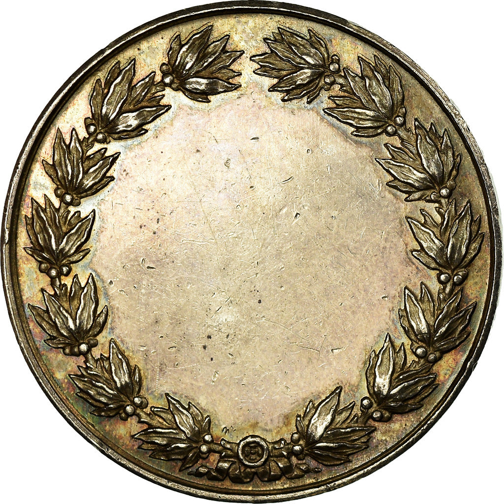 France, Médaille, Chambre de Commerce de Lille, Borrel.A, TTB+, Argent