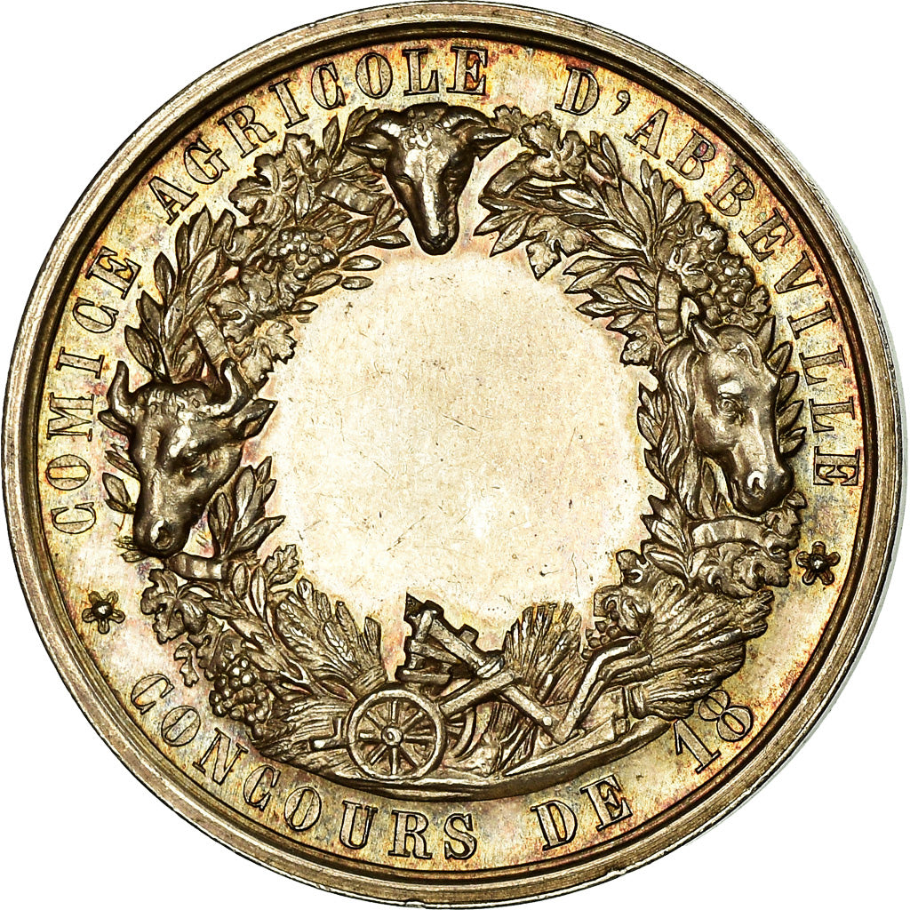 France, Medal, Comice Agricole d'Abbeville, Concours de 18, Bescher, MS(60-62)