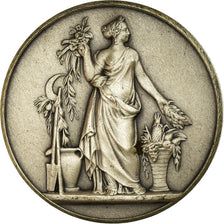France, Token, Compagnie des Chemins de Fer du Midi, Railway, Dubois.H