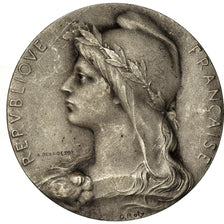 France, Medal, Chambre de Commerce de l'Indre, Châteauroux, Roty, AU(50-53)