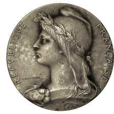 France, Medal, Chambre de Commerce de l'Indre, Châteauroux, Roty, AU(50-53)