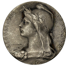 France, Medal, Chambre de Commerce de l'Indre, Châteauroux, Roty, AU(50-53)