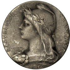 France, Medal, Chambre de Commerce de l'Indre, Châteauroux, Roty, AU(50-53)