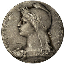 France, Medal, Chambre de Commerce de l'Indre, Châteauroux, Roty, AU(50-53)