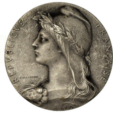 France, Medal, Chambre de Commerce de l'Indre, Châteauroux, Roty, AU(50-53)