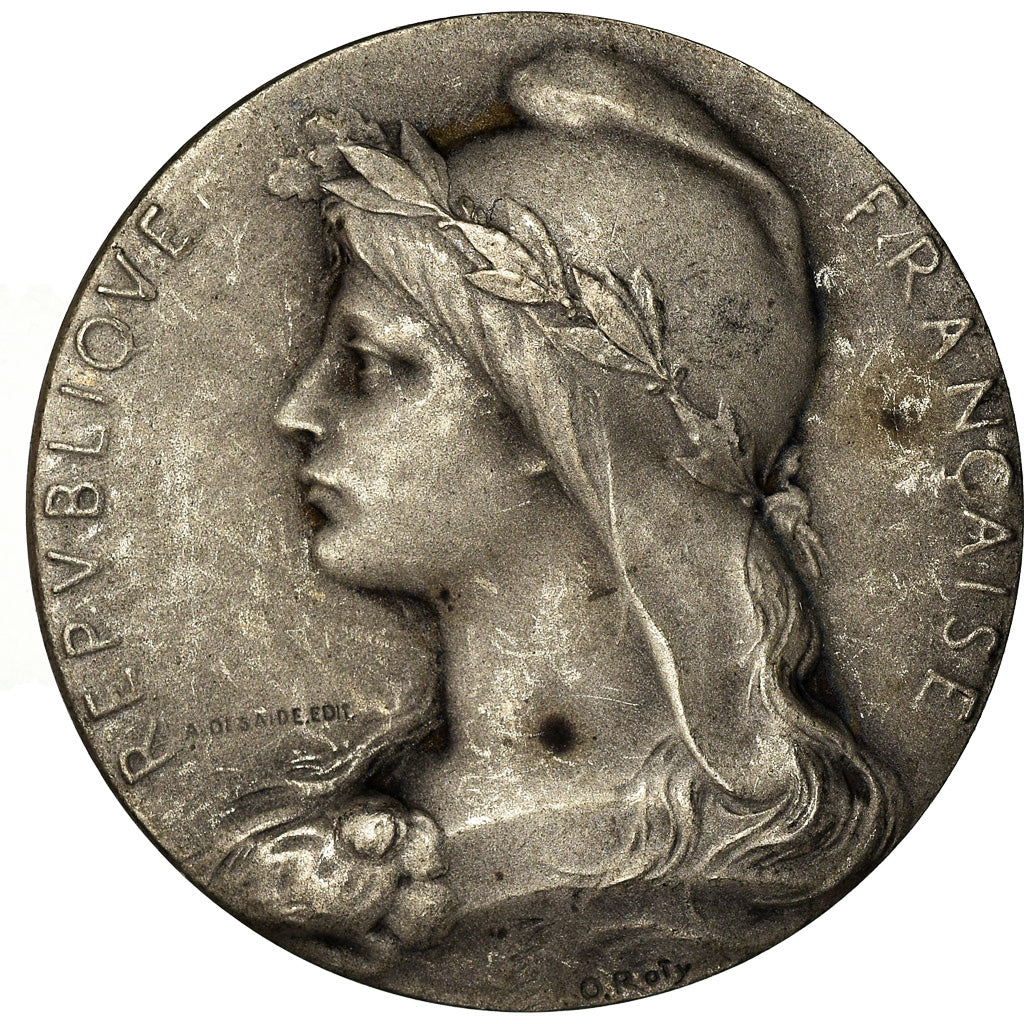 France, Medal, Chambre de Commerce de l'Indre, Châteauroux, Roty, AU(50-53)