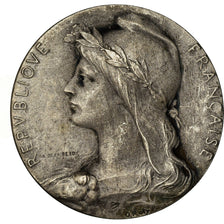 Francia, medaglia, Chambre de Commerce de l'Indre, Châteauroux, Roty, BB