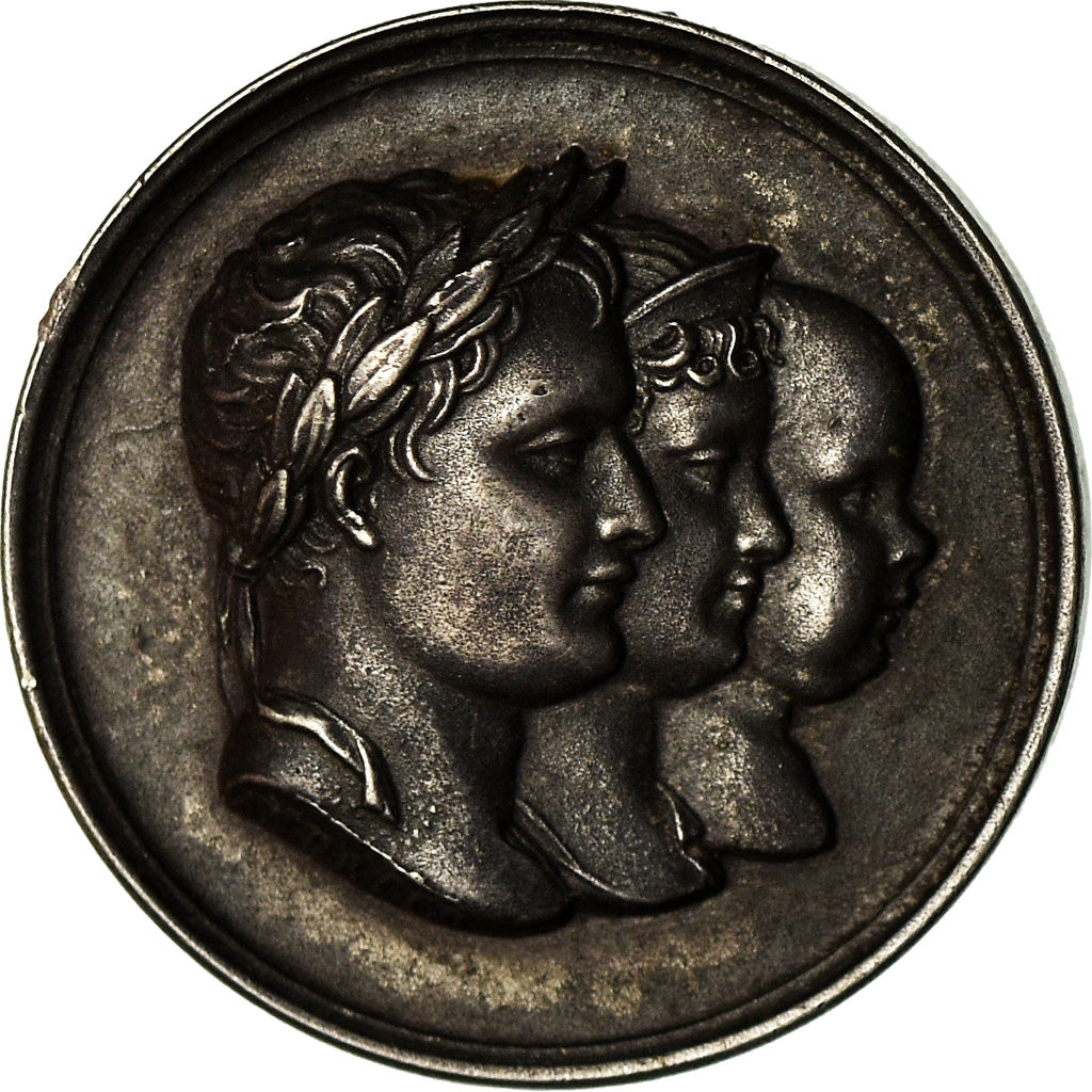 Francia, medaglia, Napoléon Ier, Famille Royale, Quinaire, History, 1815