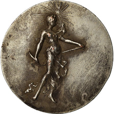 Belgium, Medal, Presse Belge, EF(40-45), Silvered bronze