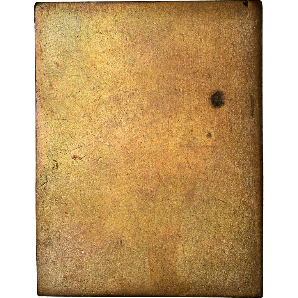 Frankrijk, Medaille, Société Militaire d'Escrime Pratique, ZF+, Bronze