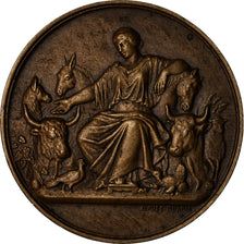 France, Medal, Agriculture, Société d'Acclimatation de France, 1930, Dubois.A
