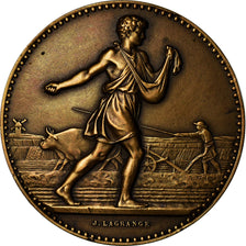 France, Medal, Comice Agricole de Cambrai, Lagrange, MS(63), Bronze