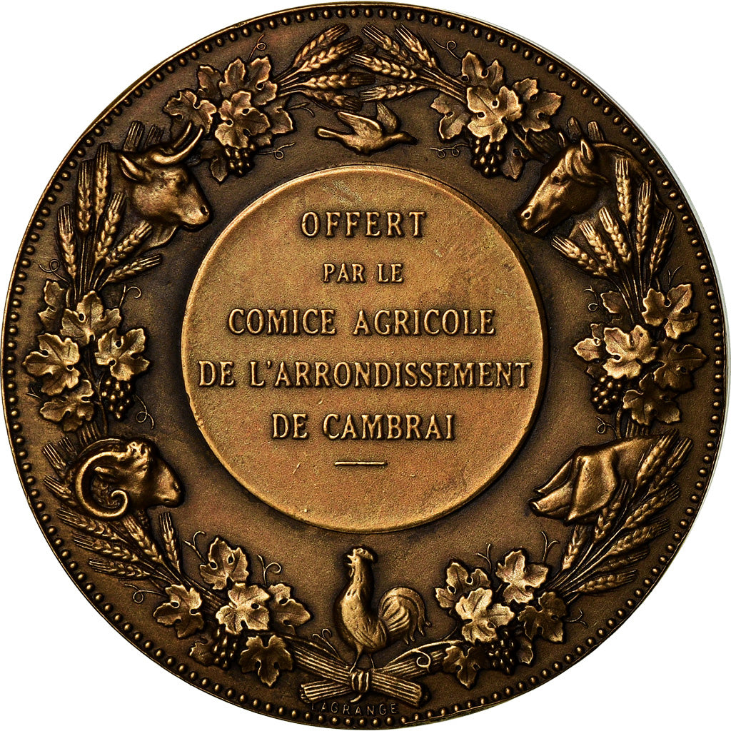 France, Medal, Comice Agricole de Cambrai, Lagrange, MS(63), Bronze