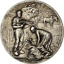 France, Médaille, Comice Agricole de l'Arrondissement de Vervins, Aisne, Rivet