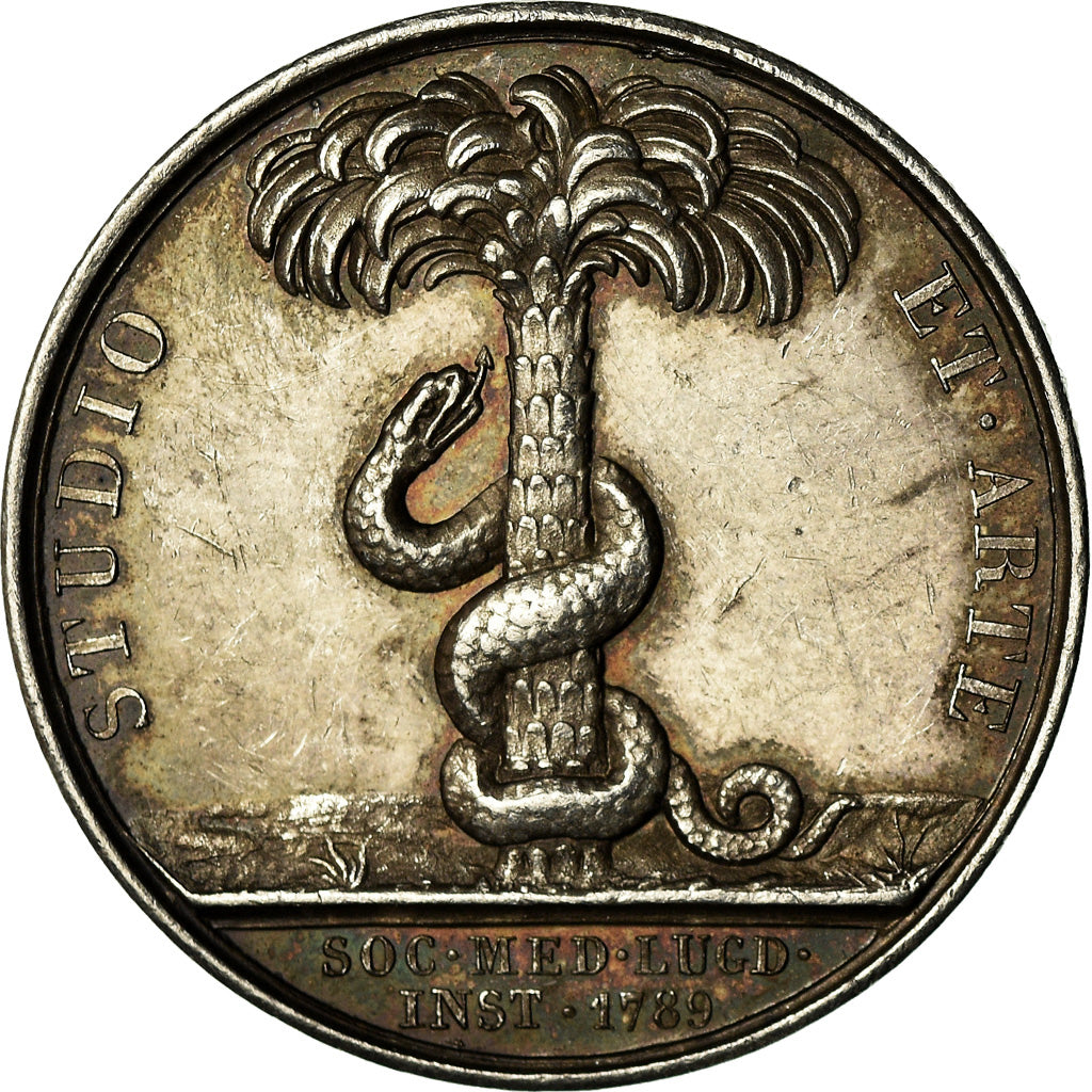 Frankrijk, Token, Médecine, Hippocrate, Lyon, Barre, PR, Zilver
