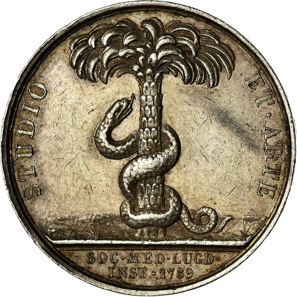 France, Token, Médecine, Hippocrate, Lyon, Barre, EF(40-45), Silver