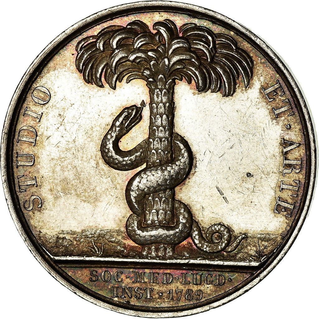 France, Token, Médecine, Hippocrate, Lyon, Barre, AU(55-58), Silver