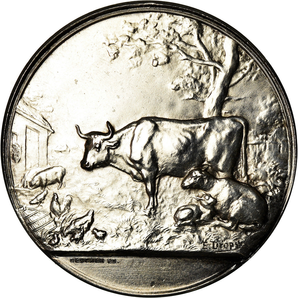France, Medal, Institut Agricole de Beauvais, Dropsy, MS(64), Silver