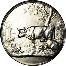 France, Medal, Institut Agricole de Beauvais, Dropsy, MS(64), Silver