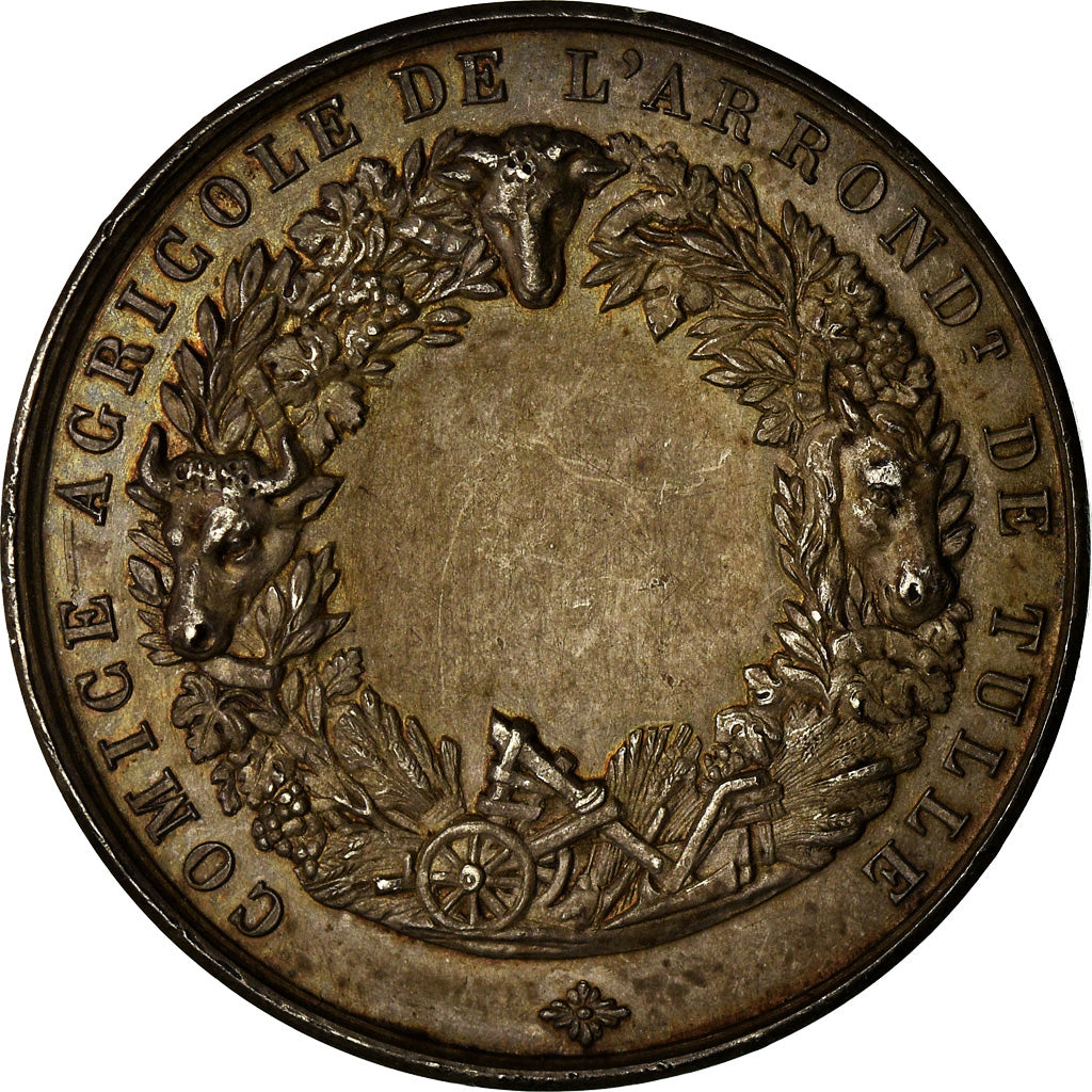 France, Medal, Comice Agricole de Tulle, Olivier de Serres, De Longueil