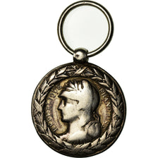 Francia, Campagne du Tonkin-Chine-Annam, medaglia, 1883-1885, Ottima qualità