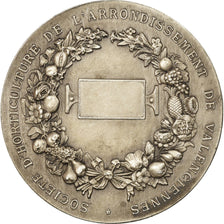 France, Medal, Société d'Horticulture de Valenciennes, MS(63), Silver