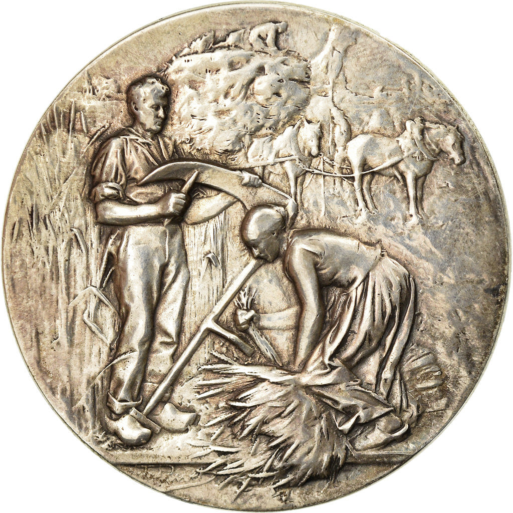 France, Medal, Comice Agricole de Laon, Rivet, AU(55-58), Silver