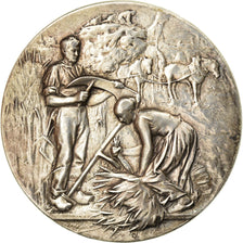 France, Medal, Comice Agricole de Laon, Rivet, AU(55-58), Silver