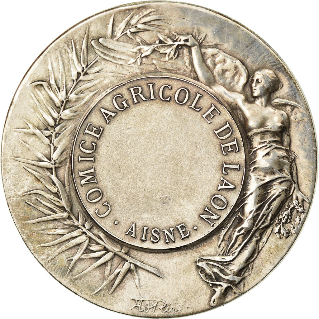 France, Medal, Comice Agricole de Laon, Rivet, AU(55-58), Silver