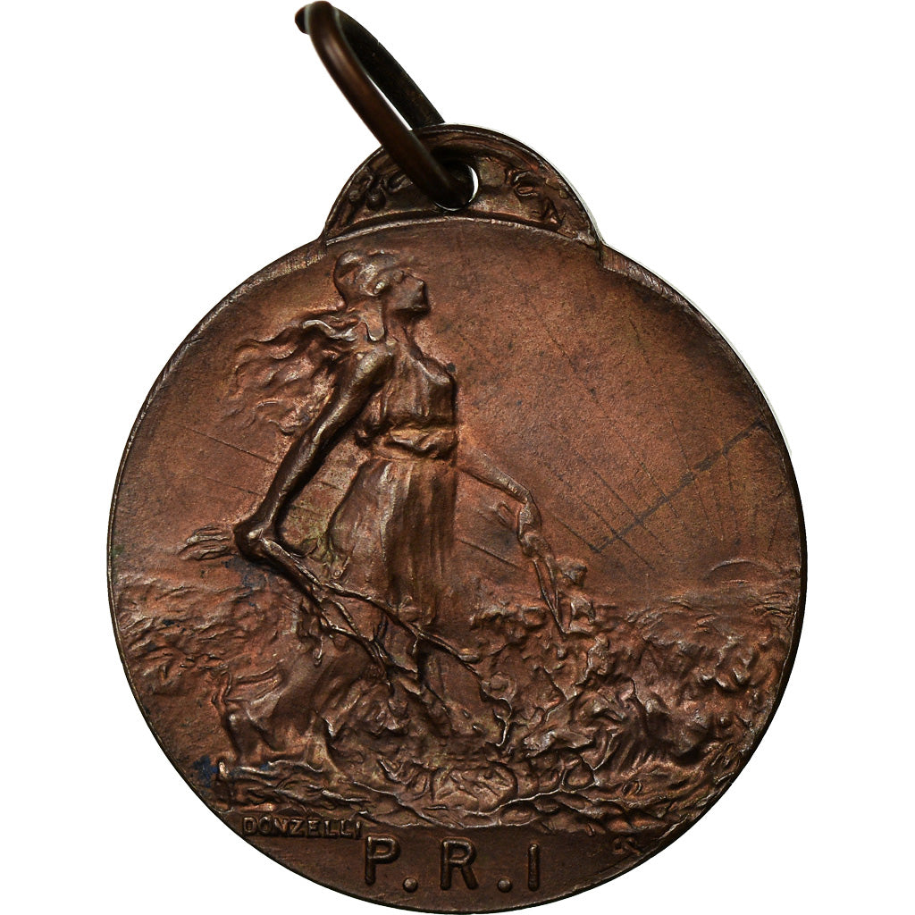 Italy, Medal, Commemorativa, P.R.I, Donzelli, MS(63), Bronze