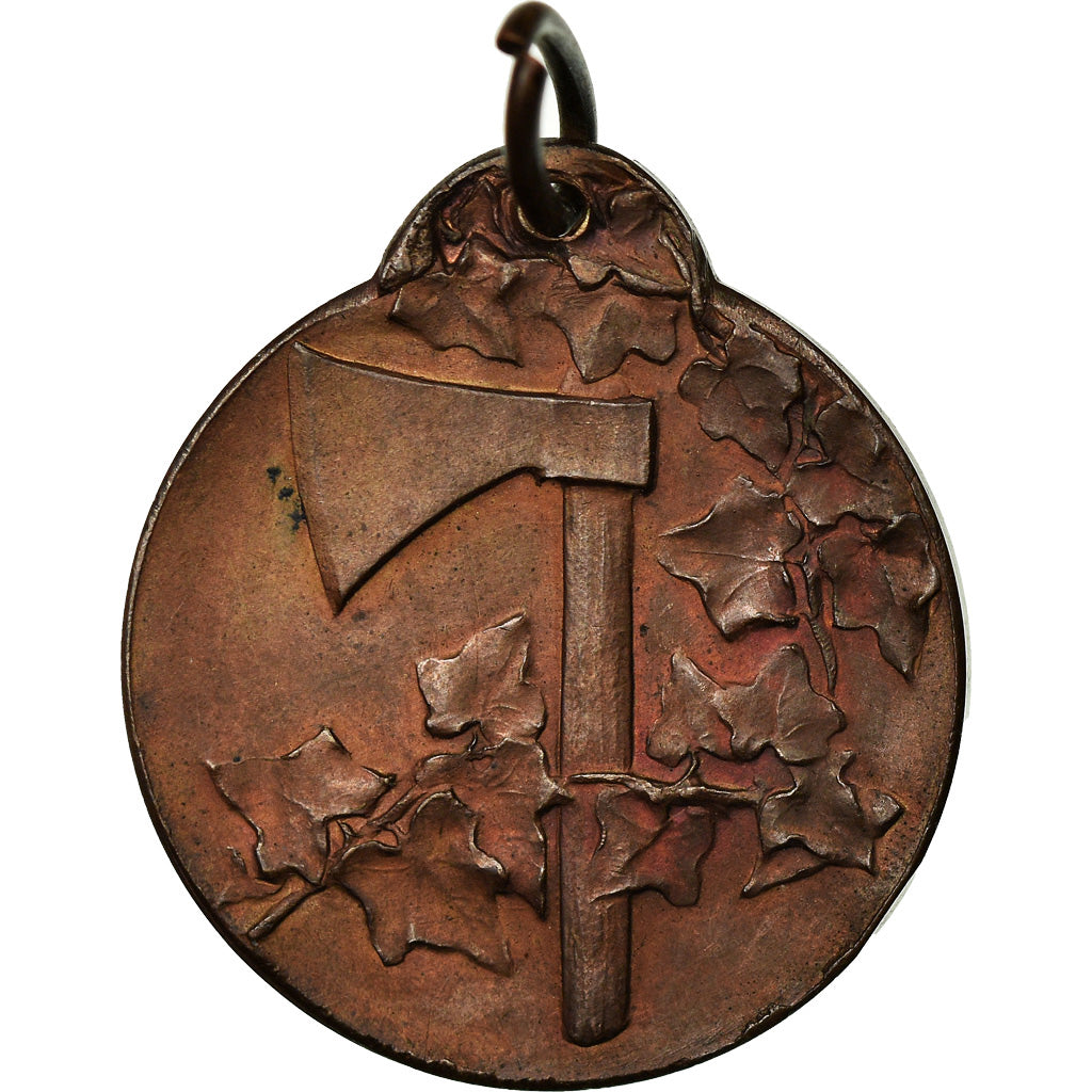 Italy, Medal, Commemorativa, P.R.I, Donzelli, MS(63), Bronze