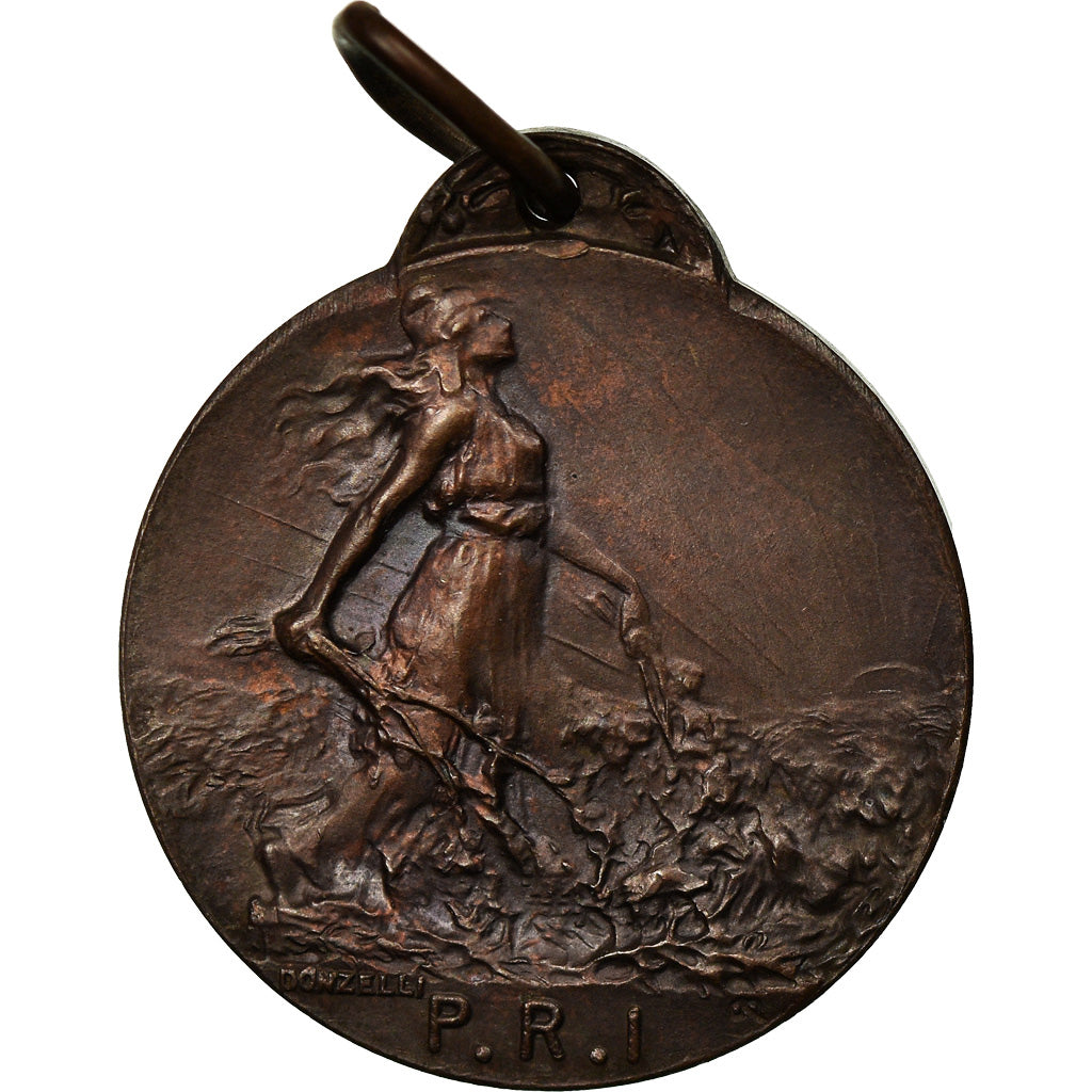 Włochy, Medal, Commemorativa, P.R.I, Undated, Donzelli, MS(63), Bronze