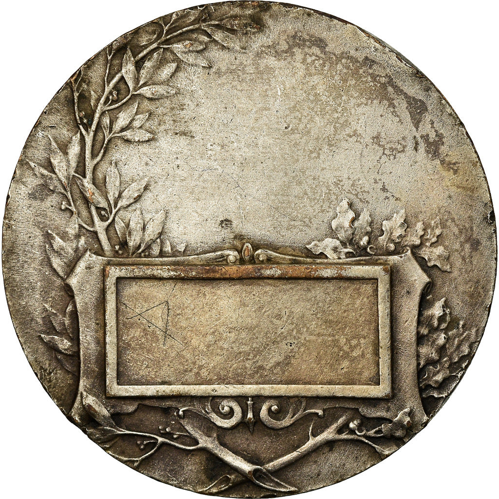 France, Medal, Préparation Militaire, Gymnastique, VF(30-35), Silvered bronze