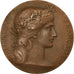 France, Medal, Marianne, Offert par le Préfet de Seine Inféreure, Dupuis.D