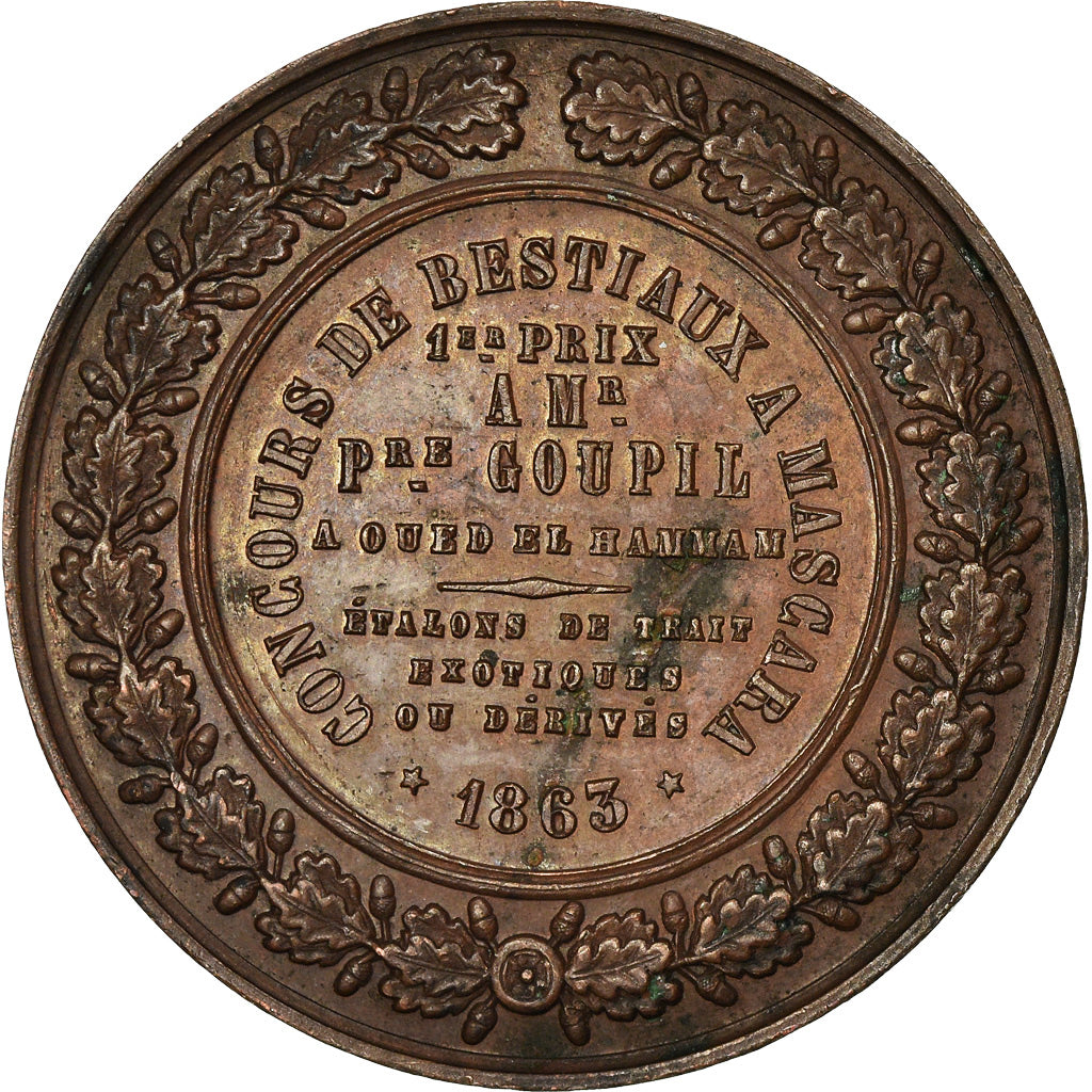 Algeria, Médaille, Concours Agricole de Mascara, Colonisation Française, 1863
