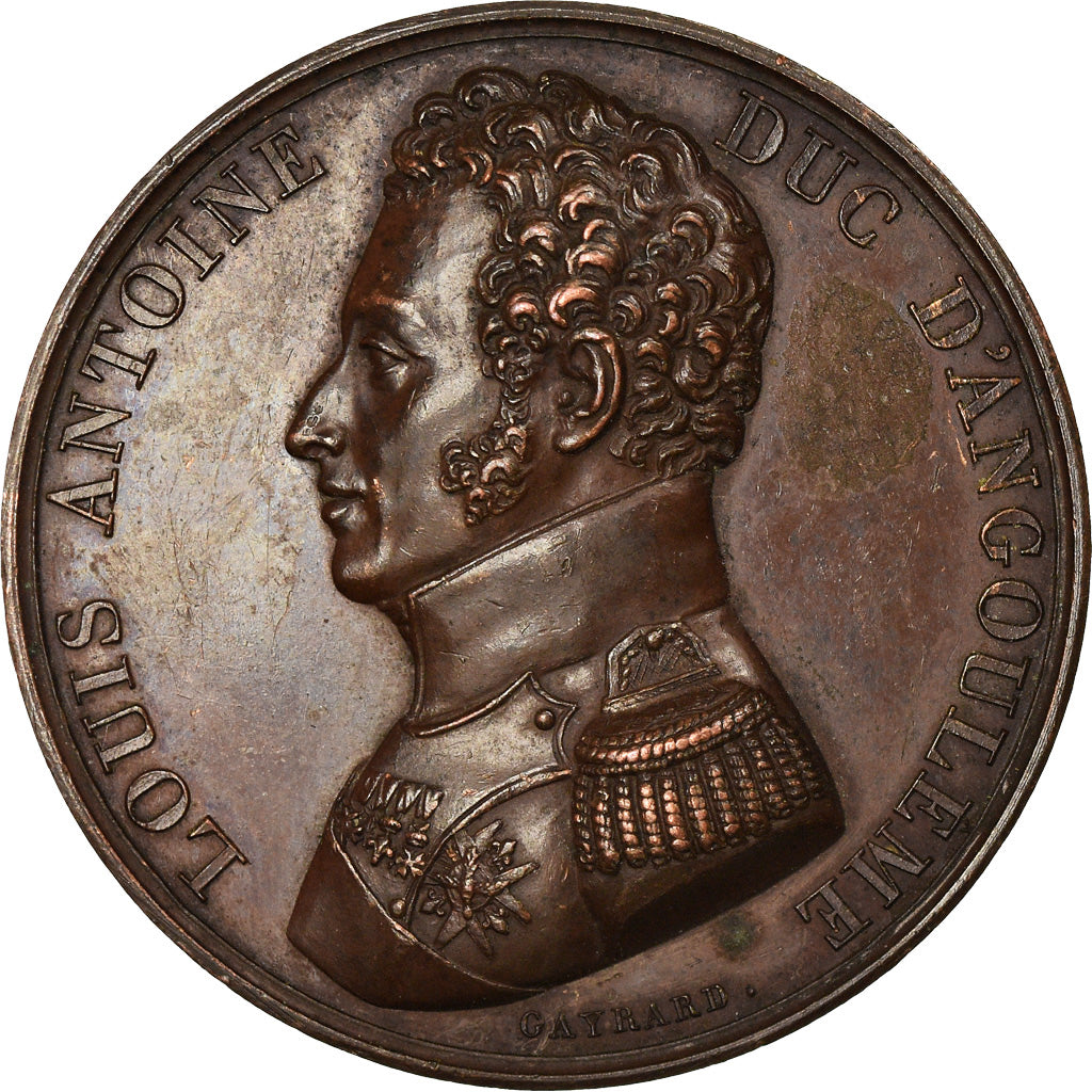 France, Medal, Louis Antoine, Duc d'Angoulème, 1815, Gayrard, AU(55-58), Copper