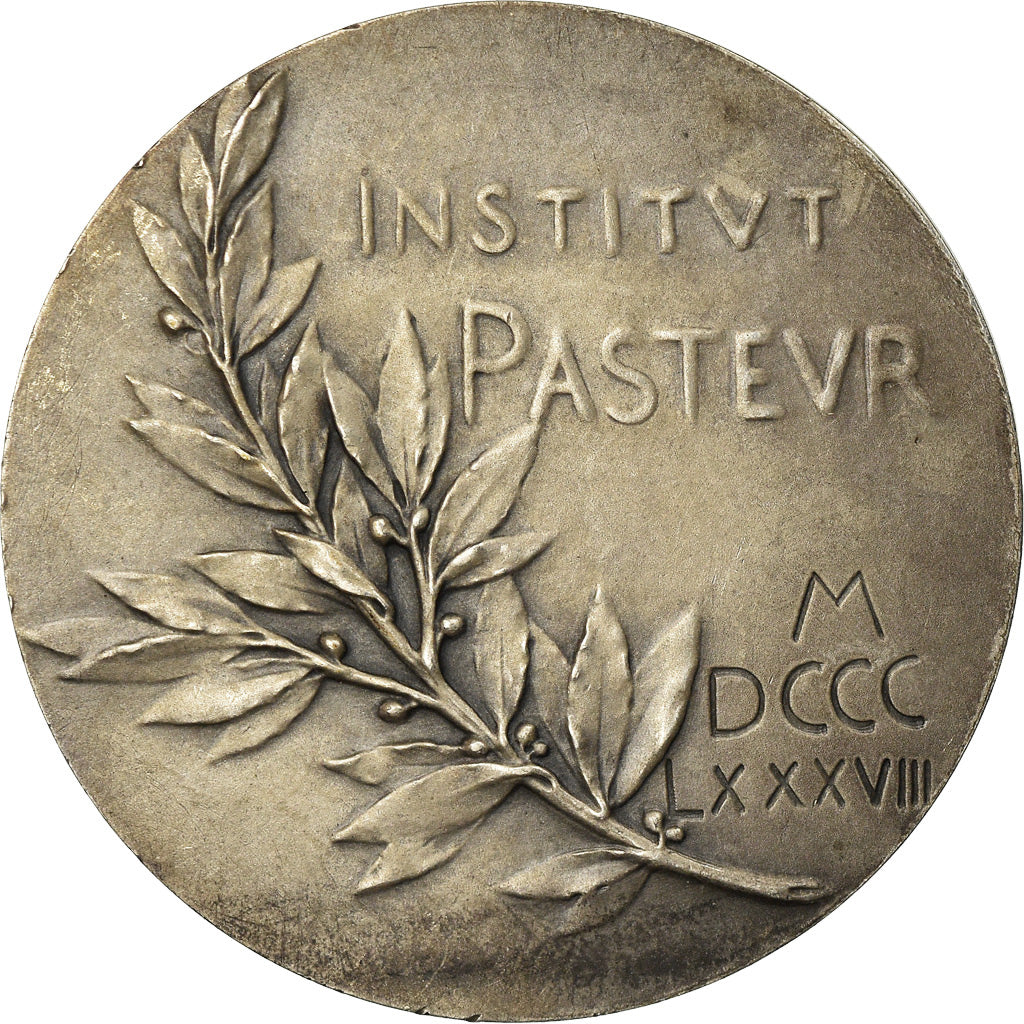 France, Medal, Institut Pasteur, 1888, Roty, MS(63), Silver